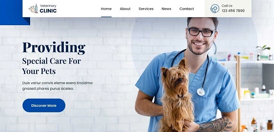 Veterinary WordPress theme